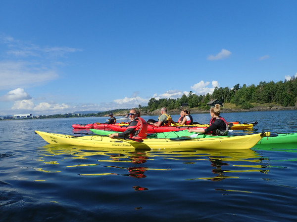 A group kayaking in the Oslo Fjord. Photo