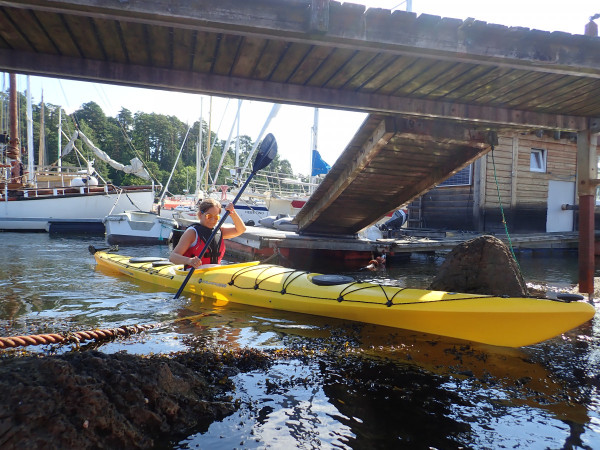 Kayaking at the docks in Oslo. Photo