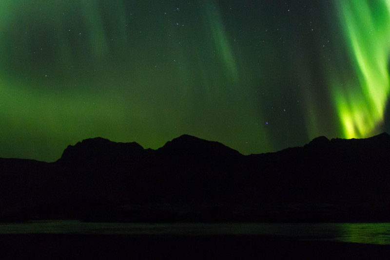 Northern lights in Lofoten. Photo
